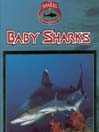 Sharks: Baby Sharks